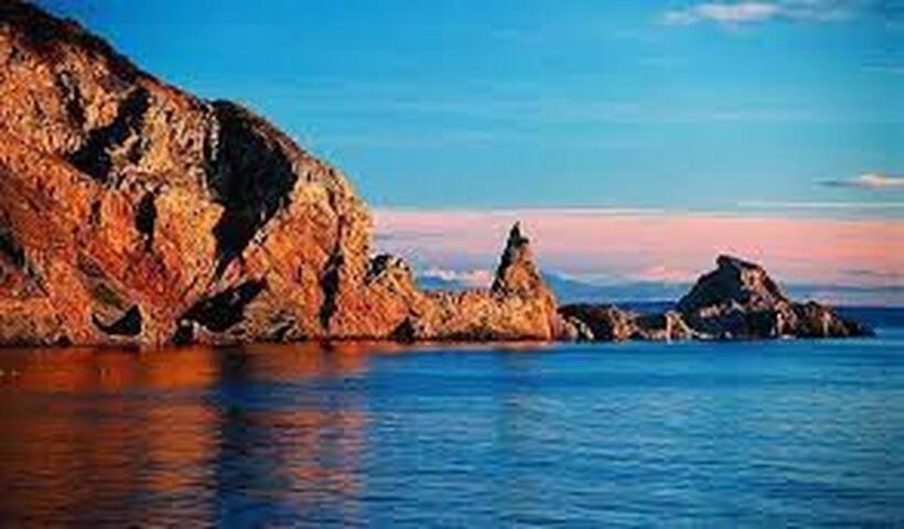 Halekulani Devon Homestay Torquay Kültér fotó