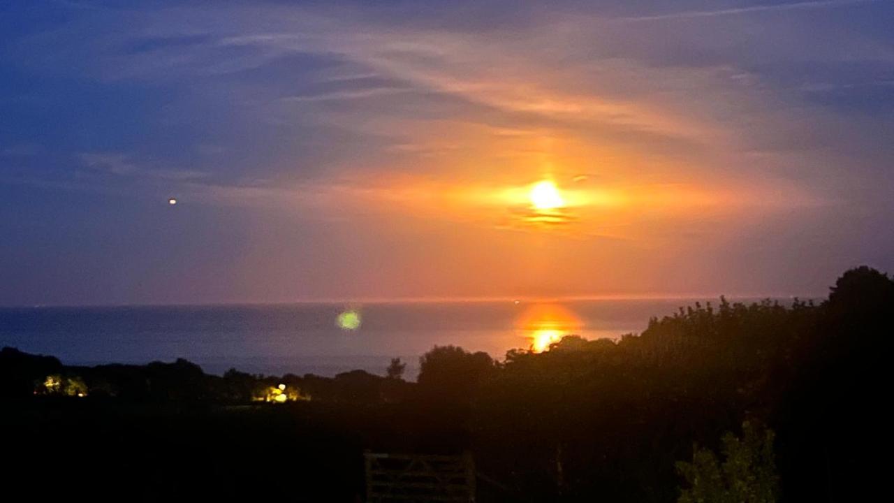 Halekulani Devon Homestay Torquay Kültér fotó