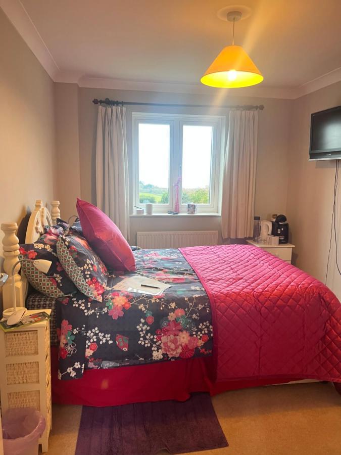 Halekulani Devon Homestay Torquay Kültér fotó